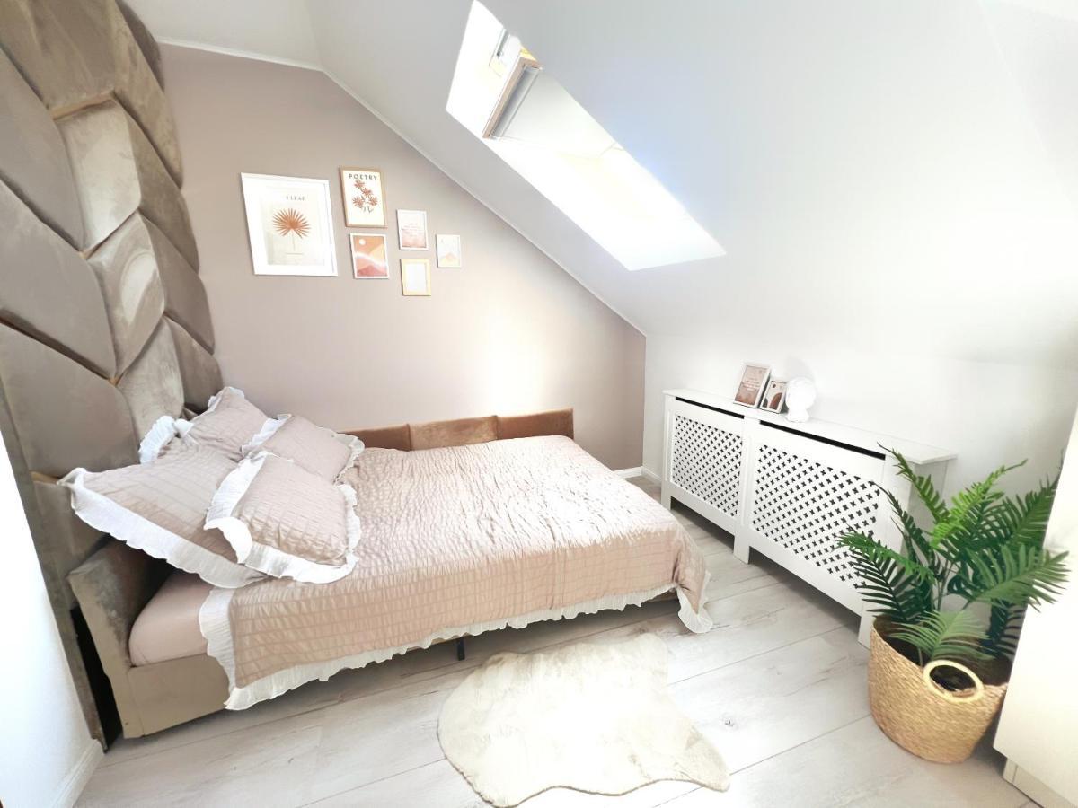 Studio Poienii - A Cozy Stay 5 Min Away From The Center Bistriţa Exteriör bild